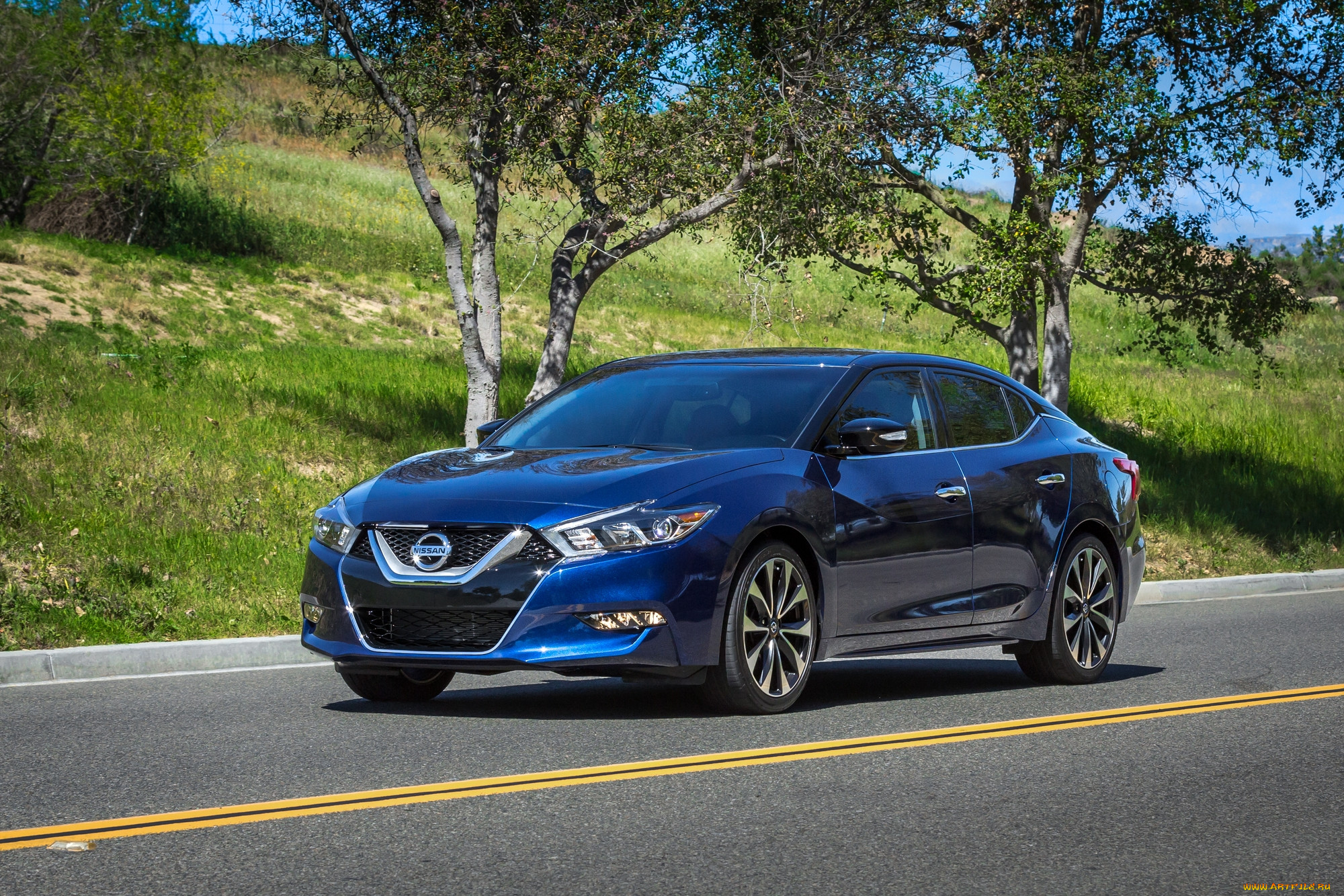 , nissan, datsun, maxima, 2016